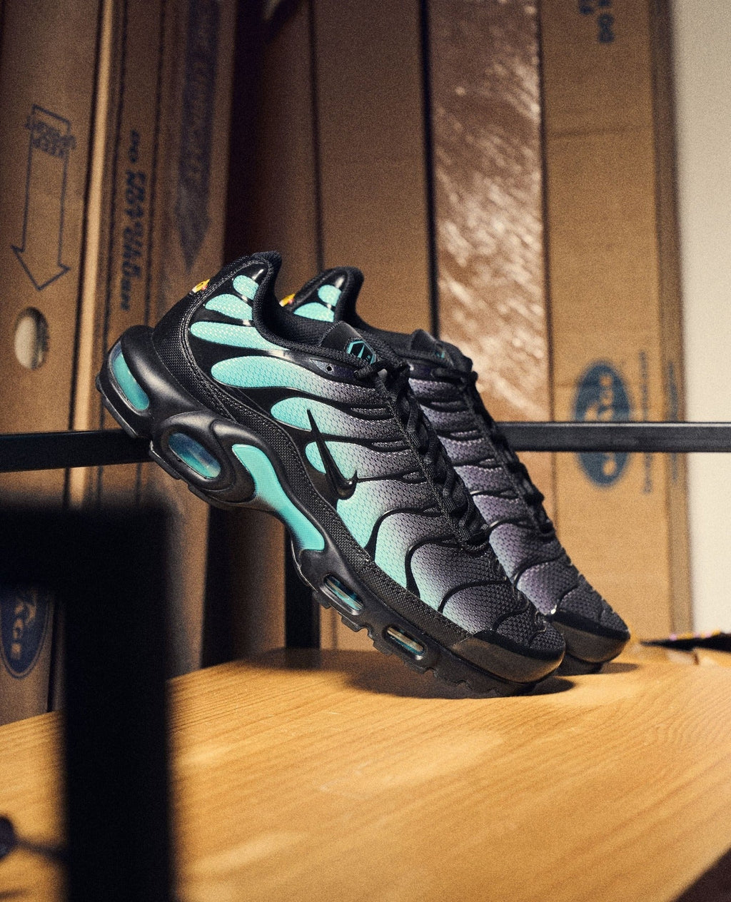 Nike Air Max Plus - "Black Dusty Cactus"