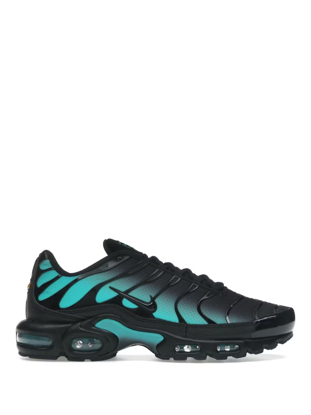 Nike Air Max Plus - "Black Dusty Cactus"